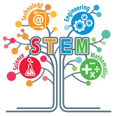 STEM-технологии в современном дошкольном образовании